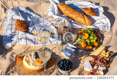Concept of having picnic in a city park during summer holidays or weekends. Concept of having picnic in a city park during summer holidays or weekends. 106004375