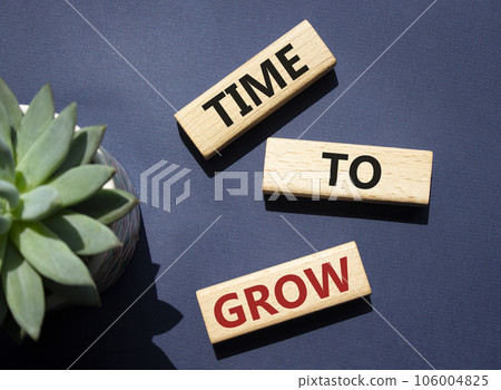 Time to Grow symbol. Concept word Time to Grow on wooden blocks. Beautiful deep blue background. Business and Time to Grow concept. Copy space Time to Grow symbol. Concept word Time to Grow on wooden blocks. Beautiful deep blue background. Business and Time to Grow concept. Copy space 106004825