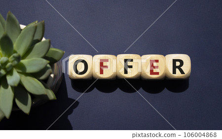 Offer symbol. Wooden cubes with word Offer . Beautiful deep blue background with succulent plant. Business and Offer concept. Copy space. 106004868