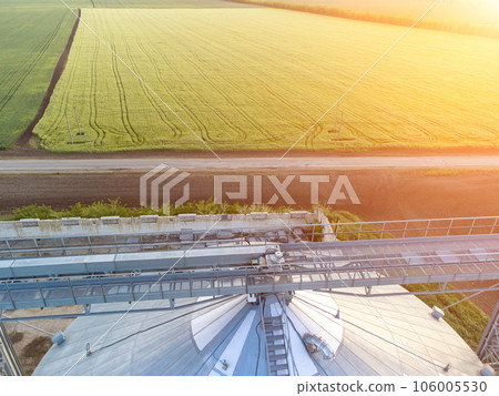 Grain silos on a green field background with warm sunset light. Grain elevator. Metal grain elevator in agricultural zone. Agriculture storage for harvest. Aerial view of agricultural factory. Nobody. 106005530