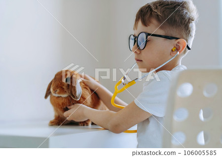 cute little boy playing vet stethoscoping a rabbit cute little boy playing vet stethoscoping a rabbit 106005585