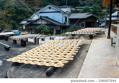 曬乾的大田燒｜入窯前，釉面無釉陶器排列整齊 106007844