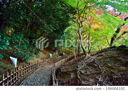 香川縣 香川縣 秋天的四國栗林公園 香川縣 香川縣 秋天的四國栗林公園 106008192