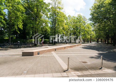 東京外國語大學西北入口通向的道路 夏日藍天 東京都府中市 106009476