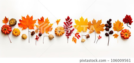 Autumn composition. Rowan berries, dried leaves, pumpkins, and flowers on white background. Autumn, fall, halloween, thanksgiving day concept. View from the top, with text space 106009561