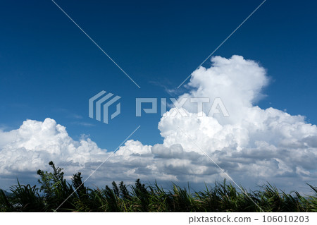 Image of cumulonimbus and midsummer 106010203