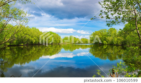 Bright summer panoramic landscape with a beautiful pond and green trees on a sunny day 106010599