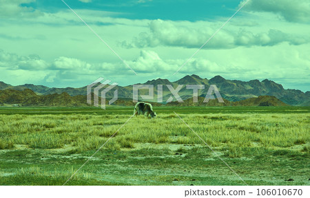 Dorbot pass from Ulan-Baishint. Mongolia. Dorbot pass from Ulan-Baishint. Mongolia. 106010670