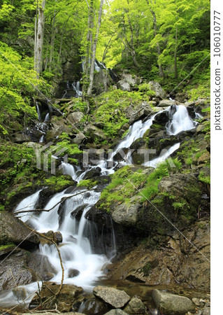 The lower part of Makutaki Falls flowing down through green plants and rocks 106010777