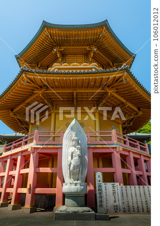 Sunflowers in full bloom at Manganji Temple, Choshi City, Chiba Prefecture 106012012