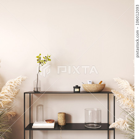 Japandi boho beige interior hallway with black console and green plant background. Light modern australian livingroom. 3d rendering mock up empty wall. High quality 3d illustration 106012093