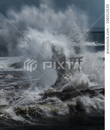 Hitachinaka City, Ibaraki Prefecture: Torii of Kamiiso at Oarai Isosaki Shrine in the morning Hitachinaka City, Ibaraki Prefecture: Torii of Kamiiso at Oarai Isosaki Shrine in the morning 106012630