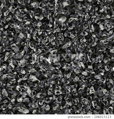 Abstract seamless torn texture in black and white. 106013113
