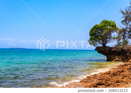 View over beach of the Indian ocean on Prison island, Zanzibar, Tanzania 106013225