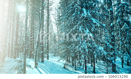 winter rural landscape 106013290