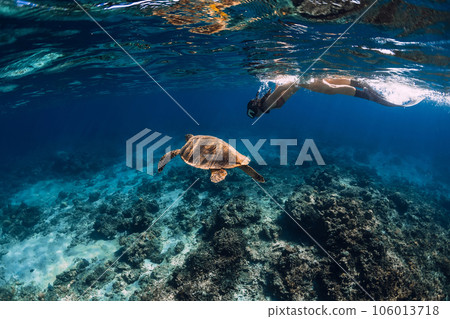 Woman freediver swim with sea turtle underwater in transparent ocean 106013718