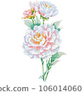 Watercolor illustration of Carnation Floral and Botanical 106014060