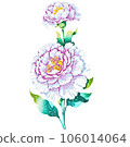 Watercolor illustration of Carnation Floral and Botanical 106014064