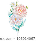 Watercolor illustration of Carnation Floral and Botanical 106014067