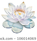 Watercolor illustration of Water Lily Floral and Botanical 106014069