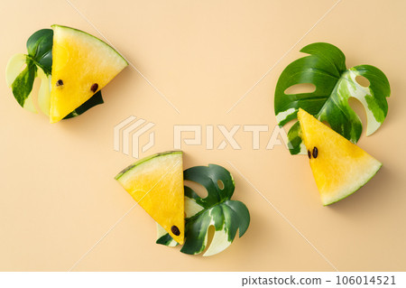 西瓜 小玉 黃色 頂視圖 圖案 Yellow watermelon スイカ 黄色 黄西瓜 黄肉西瓜 西瓜 小玉 黃色 頂視圖 圖案 Yellow watermelon スイカ 黄色 黄西瓜 黄肉西瓜 106014521