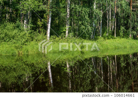 natural landscape, grassy wooded shore of the forest lake, view from the water on a sunny day natural landscape, grassy wooded shore of the forest lake, view from the water on a sunny day 106014661