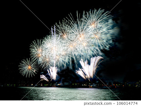 Fireworks display Fireworks display 106014774
