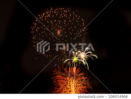 Fireworks Makuhari Beach Fireworks Festa 106014966