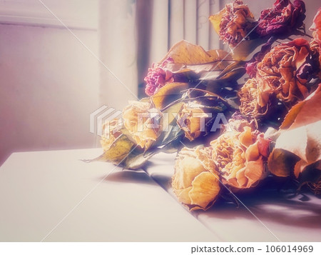 Bouquet of dried flowers Bouquet of dried flowers 106014969