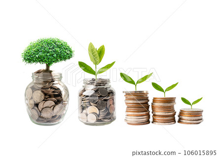 Tree leaf on save money coins, Business finance saving banking investment concept. Tree leaf on save money coins, Business finance saving banking investment concept. 106015895