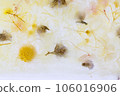 dried flowers in ice 106016906
