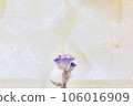 dried flowers in ice 106016909
