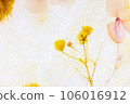 dried flowers in ice 106016912
