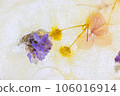 dried flowers in ice 106016914