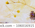 dried flowers in ice 106016915