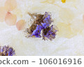 dried flowers in ice 106016916