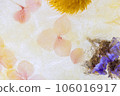 dried flowers in ice 106016917
