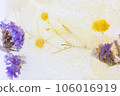 dried flowers in ice 106016919