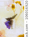 dried flowers in ice 106016920