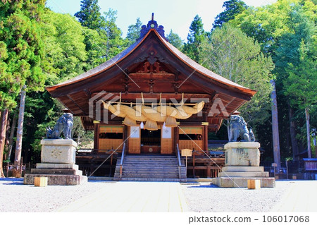Worship hall of Suwa Taisha Shimosha Akimiya surrounded by fresh greenery 106017068