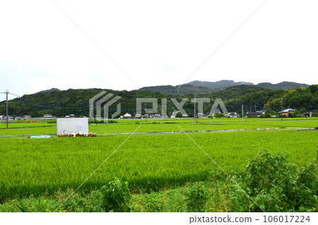 JR九州天草三隅線陰天的風景(2022年) JR九州天草三隅線陰天的風景(2022年) 106017224