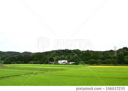 JR九州天草三隅線陰天的風景（2022年） 106017235