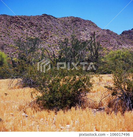 San Tan Mountains Sonora Desert Arizona On Film San Tan Mountains Sonora Desert Arizona On Film 106017496
