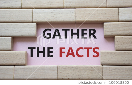 Gather the facts symbol. Wooden blocks with words Gather the facts. Beautiful pink background. Business and Gather the facts concept. Copy space. Gather the facts symbol. Wooden blocks with words Gather the facts. Beautiful pink background. Business and Gather the facts concept. Copy space. 106018800