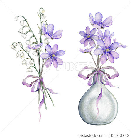 Watercolor flower arrangement with white bouquets of delicate lilies of the valley and delicate lilac Scilla. First spring flowers. Primroses, the anemones. liverwort. Design for postcards 106018850