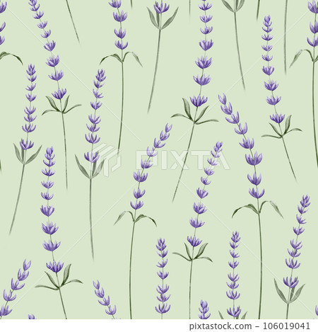 Lavender seamless Pattern on green background. Hand drawn watercolor illustration with Provence Lavandula Flowers. Botanical backdrop with wild herb for wrapping paper, textile design or any print. Lavender seamless Pattern on green background. Hand drawn watercolor illustration with Provence Lavandula Flowers. Botanical backdrop with wild herb for wrapping paper, textile design or any print. 106019041