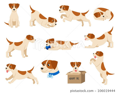 Cartoon dog. Playful beagle pup pet sits, runs, sleeps and plays with ball. Good boy vector illustration set 106019444