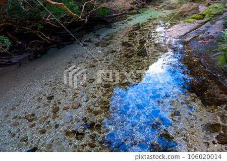 The view between the Yodogawa mountain hut from the Yodogawa trailhead on Yakushima The view between the Yodogawa mountain hut from the Yodogawa trailhead on Yakushima 106020014