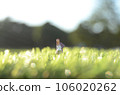 A miniature of a woman standing on a meadow A miniature of a woman standing on a meadow 106020262