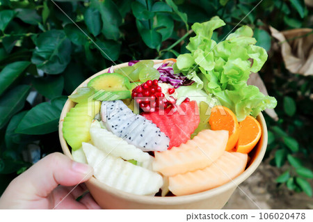 fruit and vegetable salad or cantaloupe, dragon fruit and lettuce salad fruit and vegetable salad or cantaloupe, dragon fruit and lettuce salad 106020478